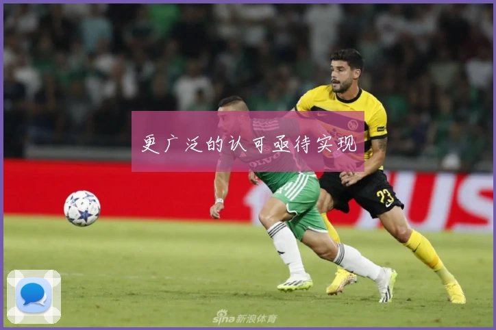 更广泛的认可亟待实现