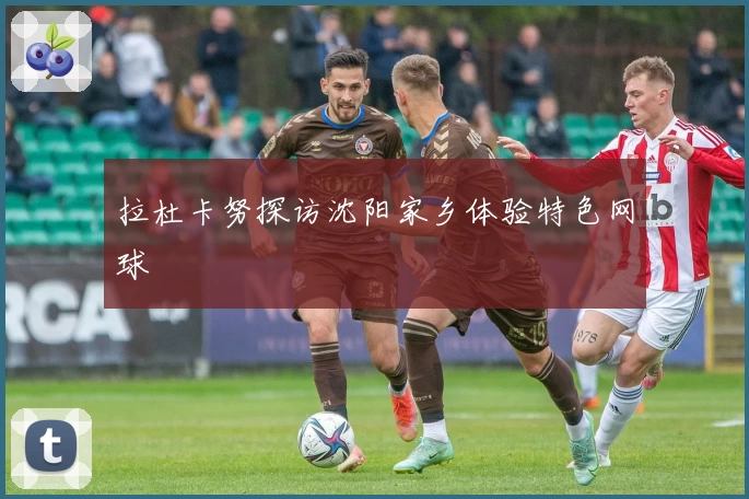 拉杜卡努探访沈阳家乡体验特色网球