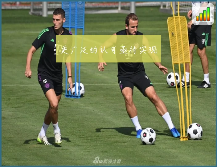 更广泛的认可亟待实现