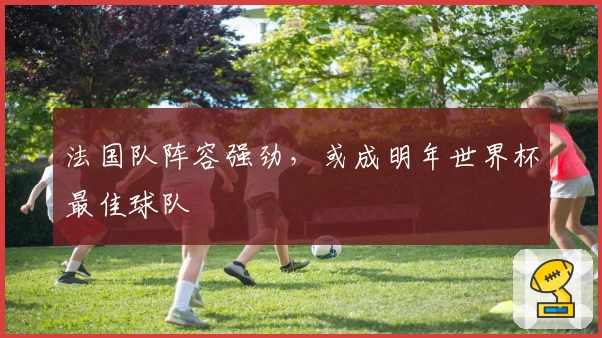法国队阵容强劲，或成明年世界杯最佳球队